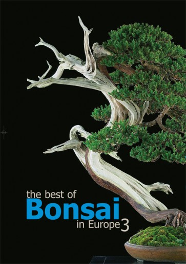 The best of Bonsai in Europe #3