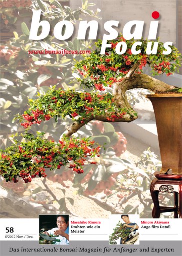 Bonsai Focus DE #58
