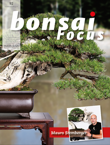 Bonsai Focus DE #92