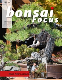 Bonsai Focus EN #141/#164