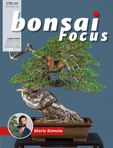 Bonsai Focus EN #176/#199