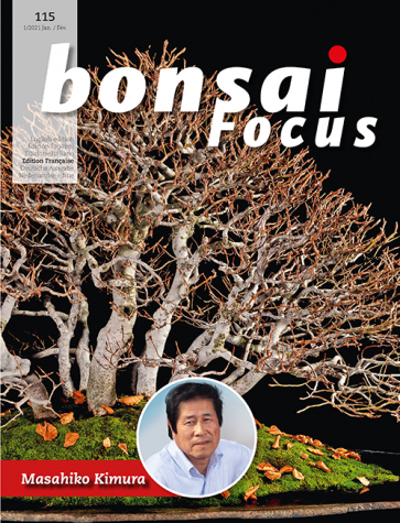 Bonsai Focus FR #115