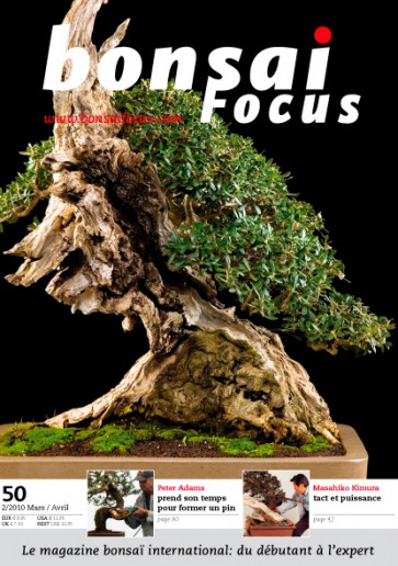 Bonsai Focus FR #50