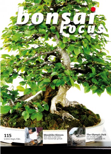 Bonsai Focus NL #115