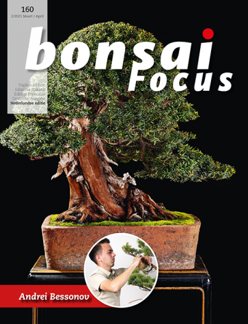Bonsai Focus NL #160