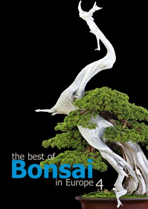 The best of Bonsai in Europe #4