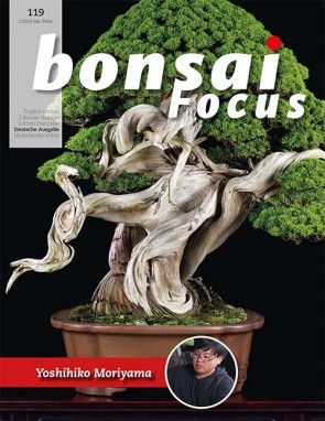 Bonsai Focus DE #119