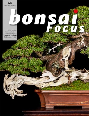 Bonsai Focus DE #122