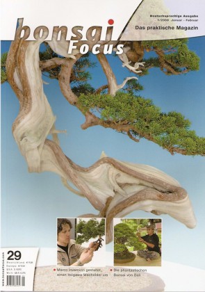 Bonsai Focus DE #29 