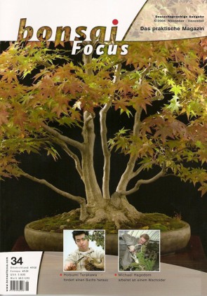 Bonsai Focus DE #34 