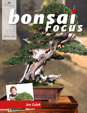 Bonsai Focus DE #90