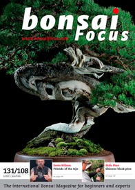 Bonsai Focus EN #108/#131
