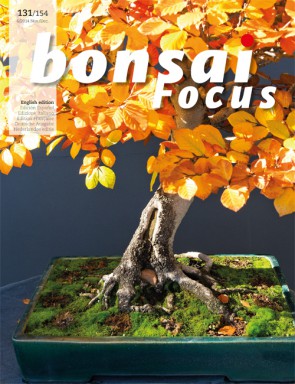 Bonsai Focus EN #131/#154