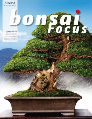 Bonsai Focus EN #135/#158
