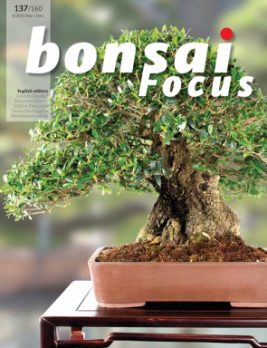 Bonsai Focus EN #137/#160