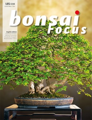 Bonsai Focus EN #185/#208