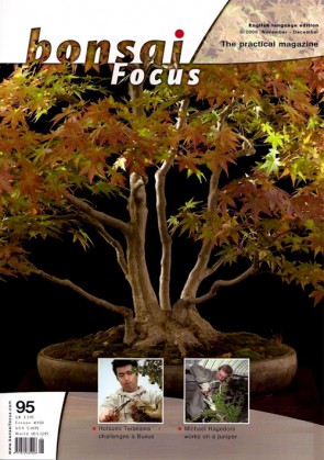 Bonsai Focus EN #95