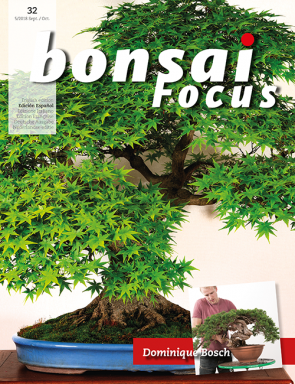 Bonsai Focus ES #32