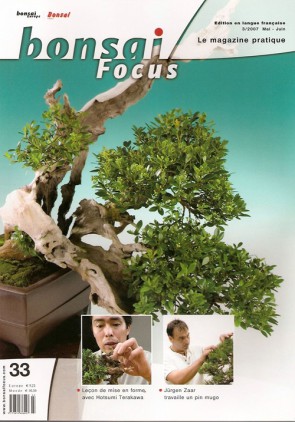 Bonsai Focus FR #33 