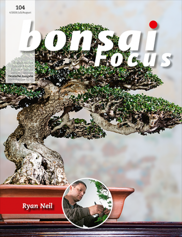 Bonsai Focus DE #104