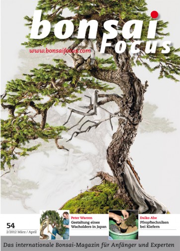 Bonsai Focus DE #54