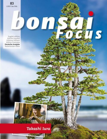 Bonsai Focus DE #83
