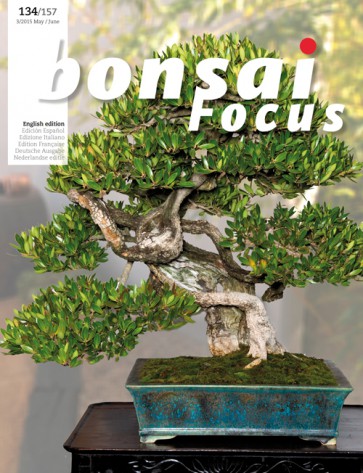 Bonsai Focus EN #134/#157