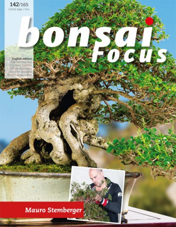 Bonsai Focus EN #142/#165