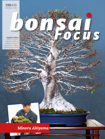 Bonsai Focus EN #150/#173