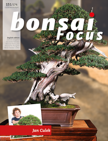Bonsai Focus EN #151/#174