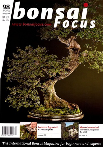 Bonsai Focus EN #98
