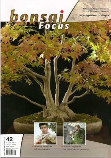 Bonsai Focus FR #42