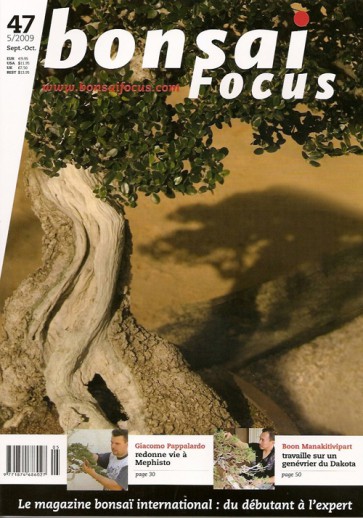 Bonsai Focus FR #47 