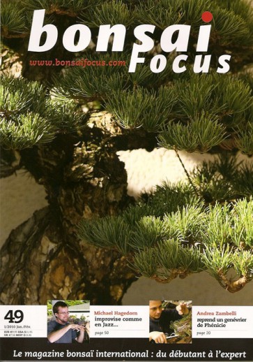 Bonsai Focus FR #49