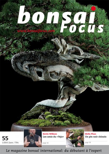 Bonsai Focus FR #55