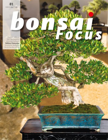 Bonsai Focus FR #81