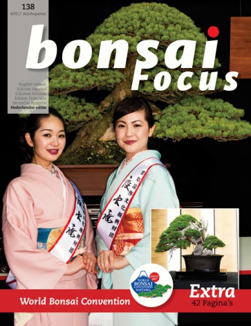 Bonsai Focus NL #138