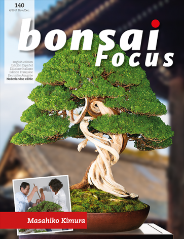 Bonsai Focus NL #140