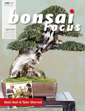 Bonsai Focus EN #148/#171