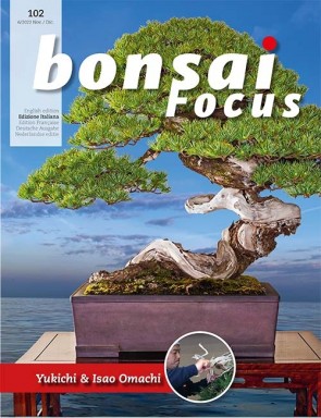 Bonsai Focus IT #102
