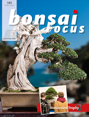 Bonsai Focus NL #143