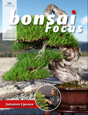 Bonsai Focus NL #151