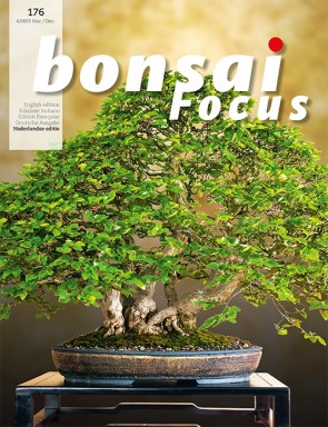  Bonsai Focus NL #176