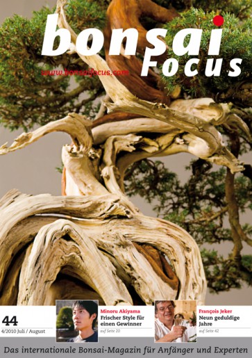 Bonsai Focus DE #44