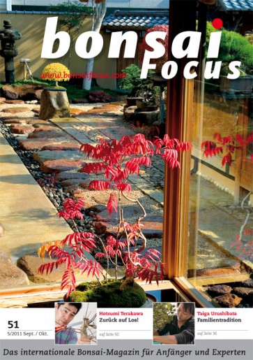 Bonsai Focus DE #51