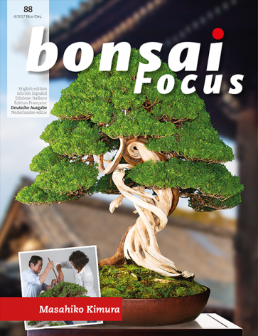 Bonsai Focus DE #88