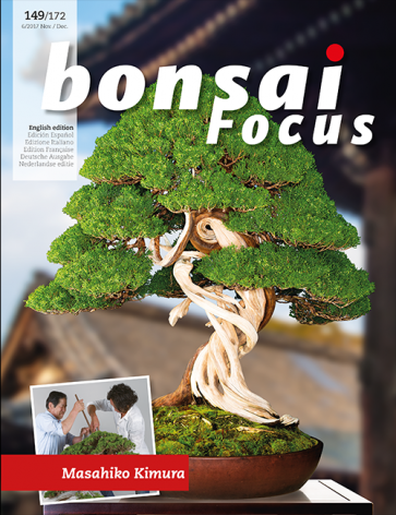 Bonsai Focus EN #149/#172
