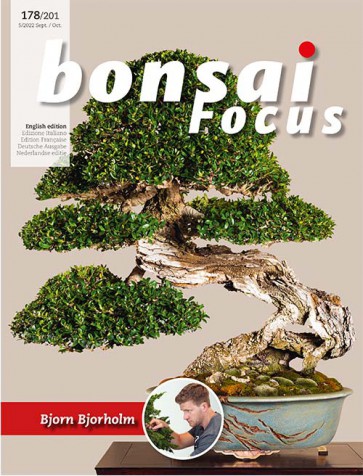 Bonsai Focus EN #178/#201