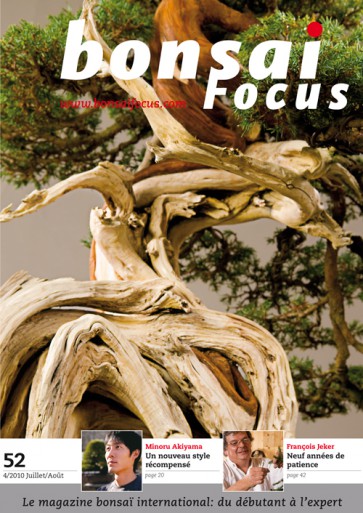 Bonsai Focus FR #52