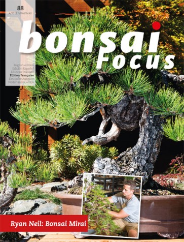Bonsai Focus FR #88
